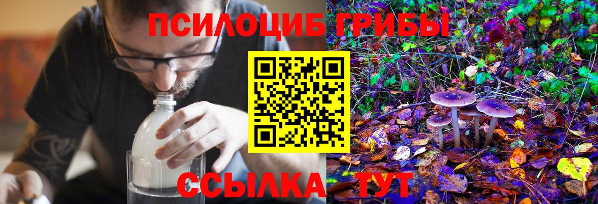 Галлюциногенные грибы мухоморы  Галлюциногенные грибы Cubensis  Иваново  Вход с VPN 